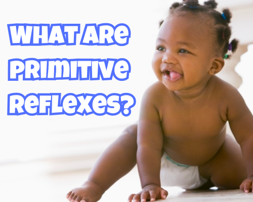 Carolina Therapy Connection, Greenville, Goldsboro, New Bern, Primitive Reflexes